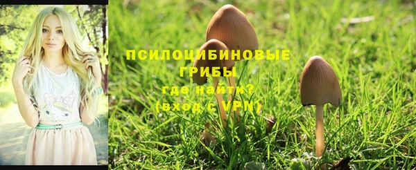 мефедрон Абаза