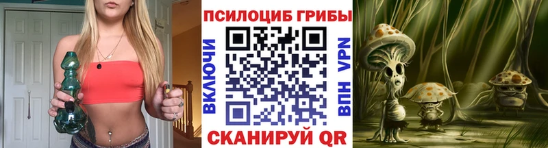 Псилоцибиновые грибы Psilocybine cubensis  Советск 